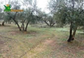 Chalet independiente con terreno en venta en la España, Peligros, ref: TR400939 foto