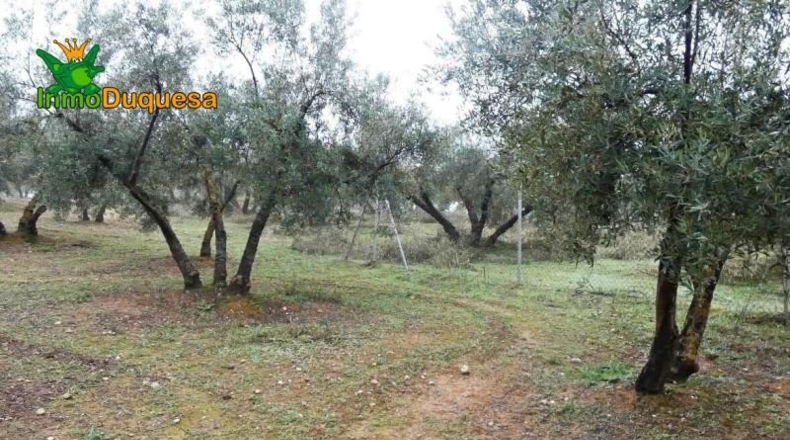 Granada - Peligros - 6298m2