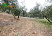 Chalet independiente con terreno en venta en la España, Peligros, ref: TR400939 foto