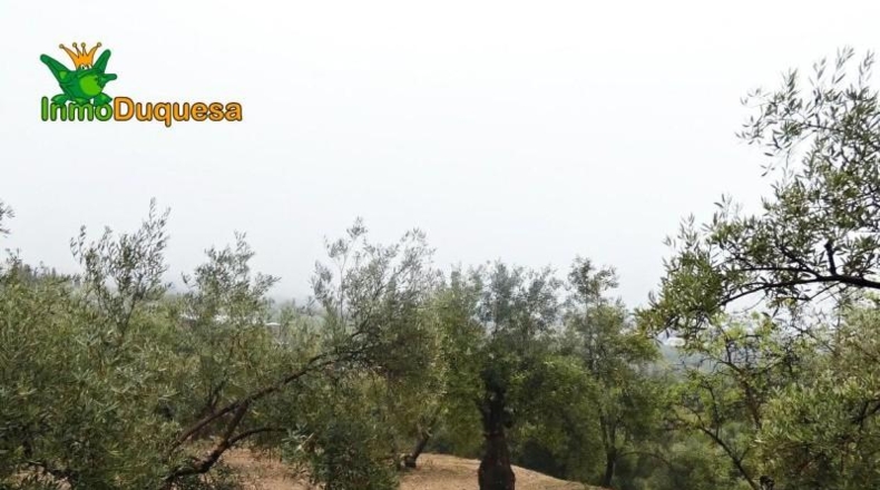 Granada - Peligros - 6298m2