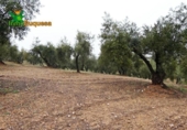 Chalet independiente con terreno en venta en la España, Peligros, ref: TR400939 foto