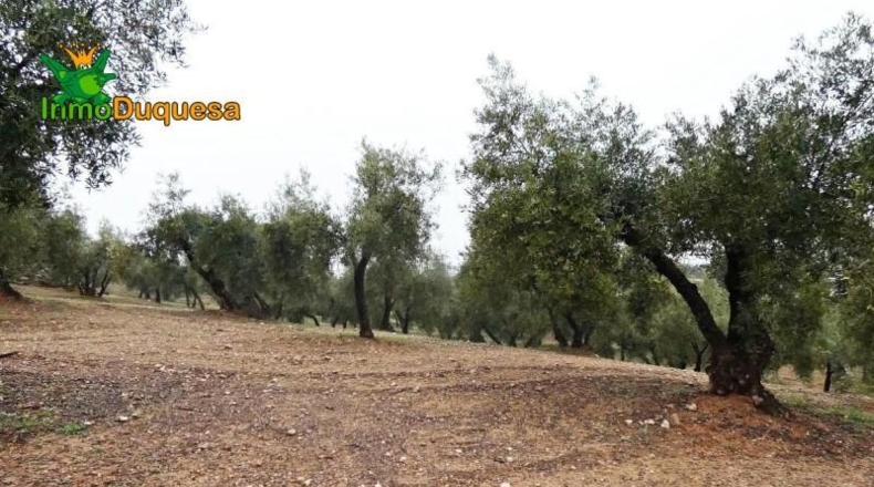 Granada - Peligros - 6298m2