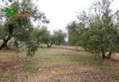 Chalet independiente con terreno en venta en la España, Peligros, ref: TR400939 foto