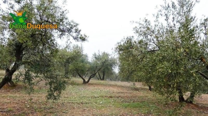 Granada - Peligros - 6298m2