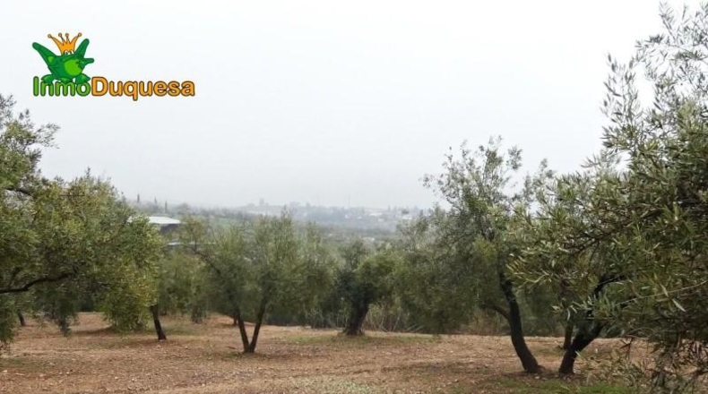 Granada - Peligros - 6298m2