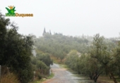 Chalet independiente con terreno en venta en la España, Peligros, ref: TR400939 foto