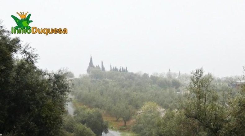 Granada - Peligros - 6298m2
