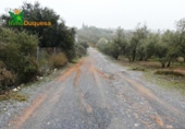Chalet independiente con terreno en venta en la España, Peligros, ref: TR400939 foto