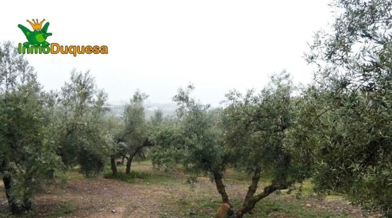 Granada - Peligros - 6298m2