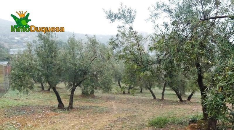 Granada - Peligros - 6298m2