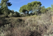 Земля на продажу у города Berrocal Фото