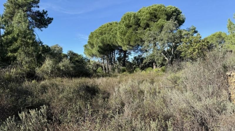 Segovia - Berrocal - 73806m2