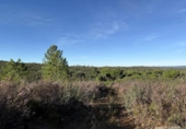 Земля на продажу у города Berrocal Фото