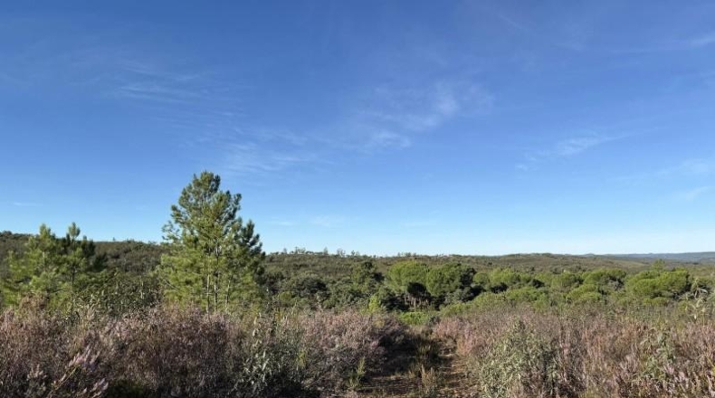 Segovia - Berrocal - 73806m2