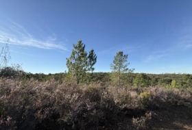 Berrocal 73806&nbsp;м²