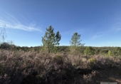 Земля на продажу у города Berrocal Фото