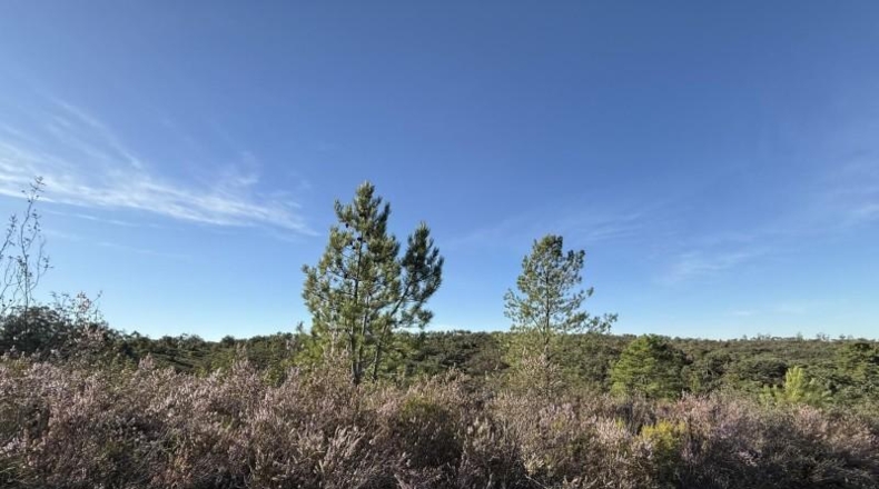 Segovia - Berrocal - 73806m2