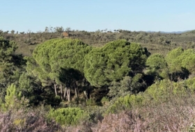 Berrocal 73806&nbsp;м²
