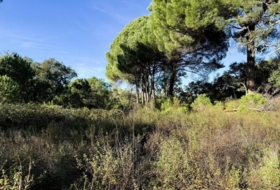 Berrocal 73806&nbsp;м²