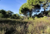 Земля на продажу у города Berrocal Фото