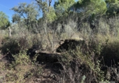 Земля на продажу у города Berrocal Фото