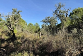 Berrocal 73806&nbsp;м²