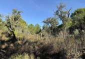 Земля на продажу у города Berrocal Фото