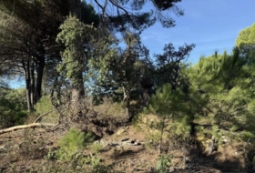 Berrocal 73806&nbsp;м²