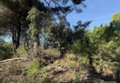 Земля на продажу у города Berrocal Фото