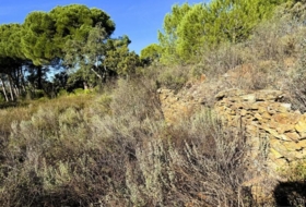 Berrocal 73806&nbsp;м²