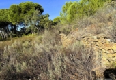 Земля на продажу у города Berrocal Фото