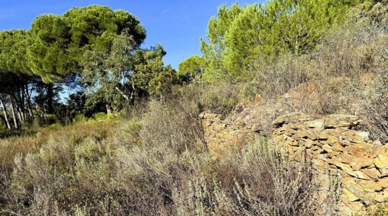 Segovia - Berrocal - 73806m2