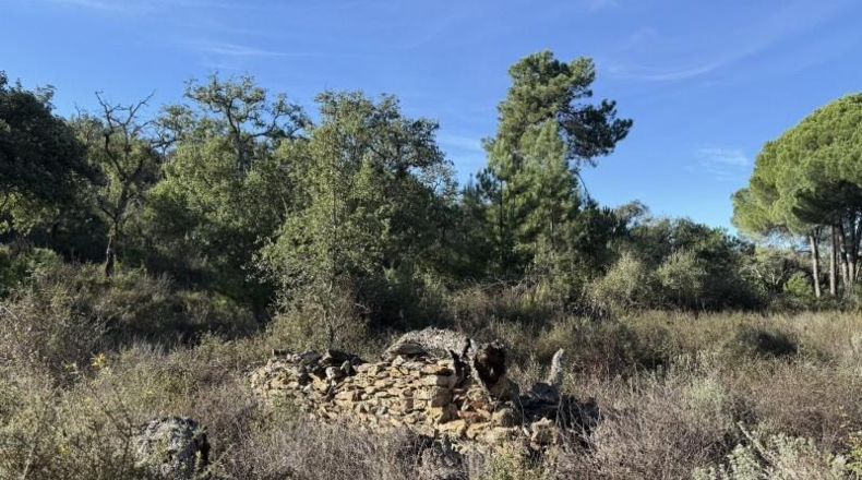 Segovia - Berrocal - 73806m2