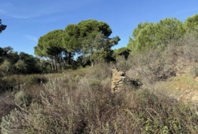 Berrocal 73806&nbsp;м²