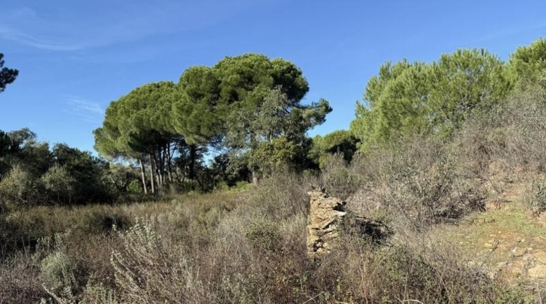 Segovia - Berrocal - 73806m2