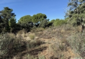 Земля на продажу у города Berrocal Фото