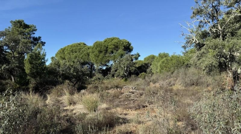 Segovia - Berrocal - 73806m2