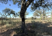 Земля на продажу у города Berrocal Фото