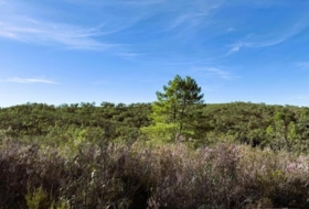 Berrocal 73806&nbsp;м²