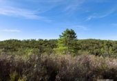 Земля на продажу у города Berrocal Фото