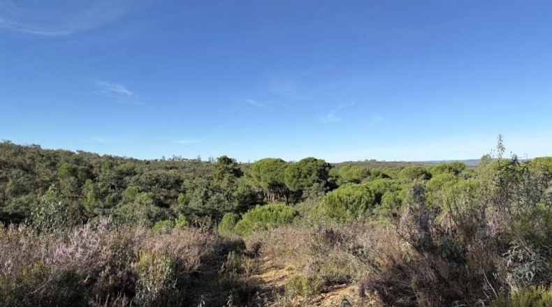 Segovia - Berrocal - 73806m2