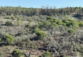 Земля на продажу у города Berrocal Фото