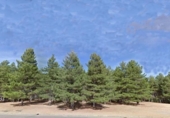 Land suitable for development for sale on España, Valdefresno, ref: TR119213 photo