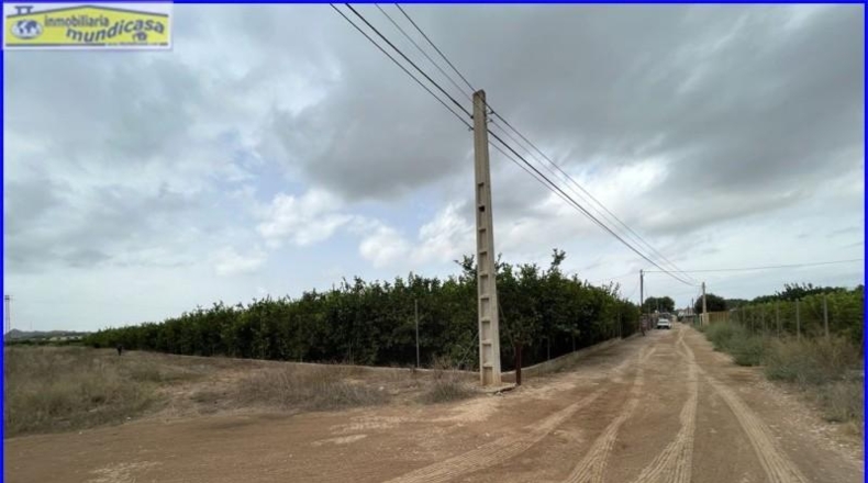 Múrcia - Santomera - 2500m2