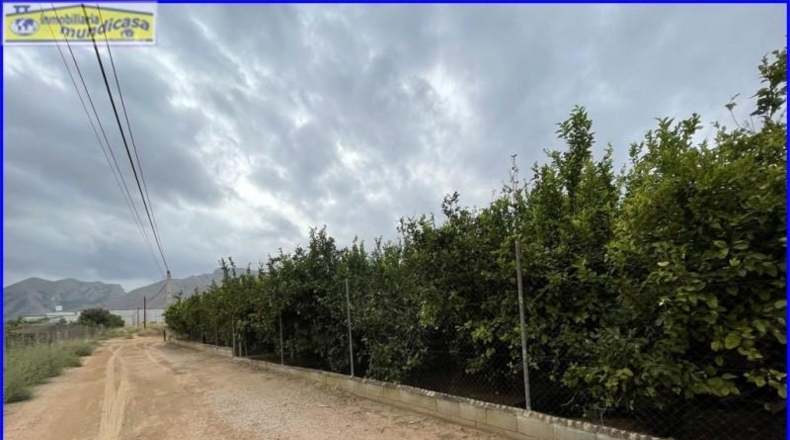 Múrcia - Santomera - 2500m2
