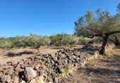 Xalet independent amb terreny en venda a la España, l'Ametlla de Mar, ref.: TR304072 foto
