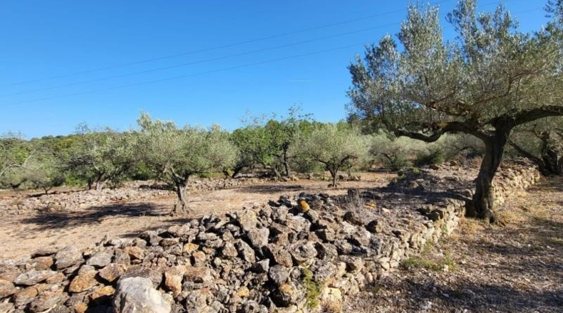 Tarragona - l'Ametlla de Mar - 12936m2