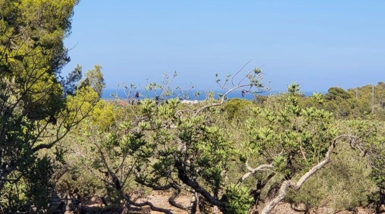 Tarragona - l'Ametlla de Mar - 12936m2