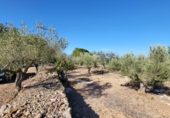 Xalet independent amb terreny en venda a la España, l'Ametlla de Mar, ref.: TR304072 foto