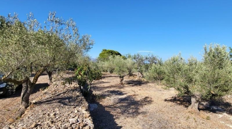 Tarragona - l'Ametlla de Mar - 12936m2